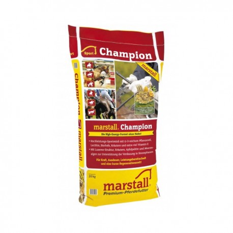 Pasza Champion Marstall