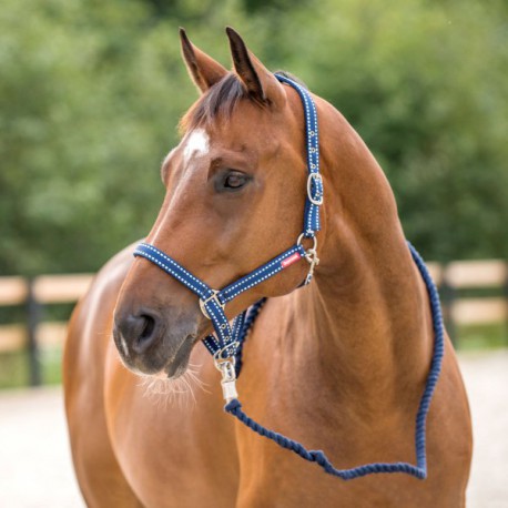 Kantar z uwiązem "Cooper" Horze