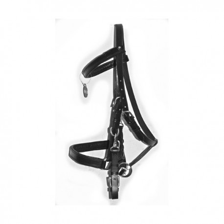 Kantaroogłowie Nowak Center