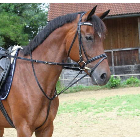 Wodze "Thiedemann" Kerbl