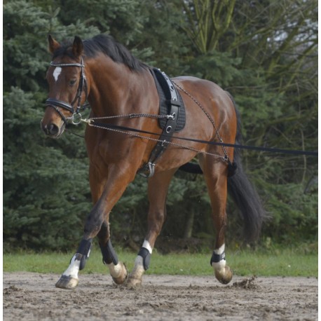 System do lonżowania Waldhausen