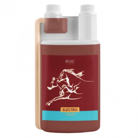 Elektrolity "Elecro Horse" Over Horse