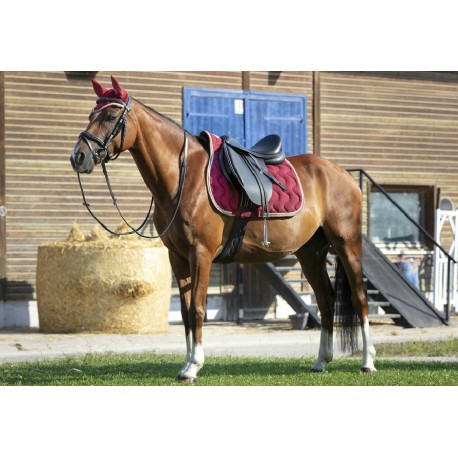 Zestaw czaprak z nausznikami pony "Polyfun" Equitheme