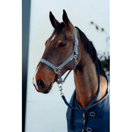 Kantar z uwiązem "Munich" Horze