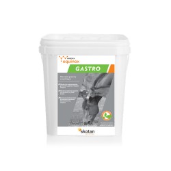 "Gastro Foal" Yarrowia Equinox 