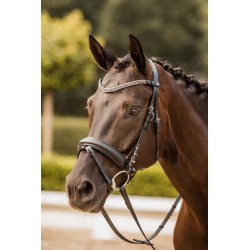 Naczółek z kryształkami  "Columbia" A/W 2022 Horze