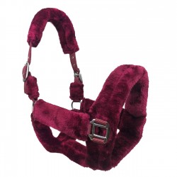 Kantar "Cuddly" Horsenjoy 