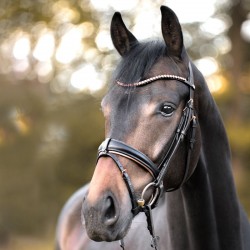 Ogłowie "Rose" Kavalkade