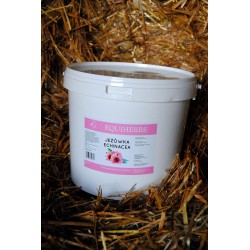 Jeżówka - Echinacea Equiherbs