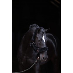 Kantar "SuperSoft" Covalliero