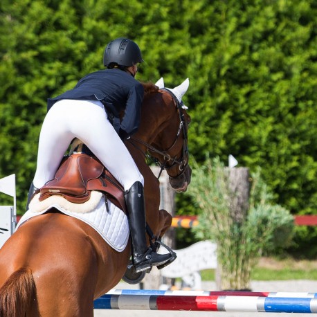 Oficerki "Winslow" Horze 39