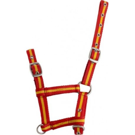 Kantar źrebięcy Norton