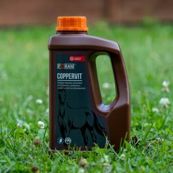 Witaminy z miedzią i manganem "Coppervit" Foran