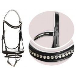 Ogłowie "Gloria" York