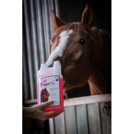 OPTIMAG Magnez dla koni OptiFeed