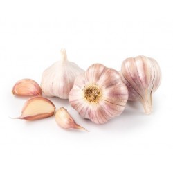 Czosnek granulowany Equiherbs