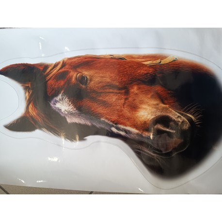 Duża naklejka na auto/ścianę