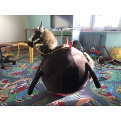 Piłka do skakania Hobby Horse