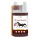 Preparat "Bronchi Equus" Over Horse