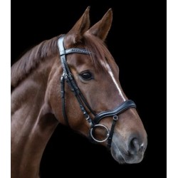 Ogłowie "New Shape II" Waldhausen