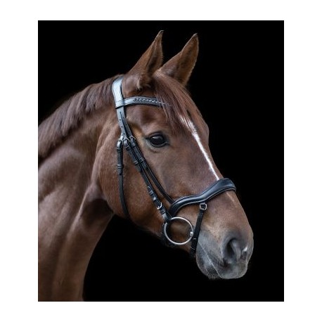 Ogłowie "New Shape II" Waldhausen